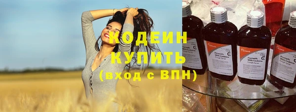 ПСИЛОЦИБИНОВЫЕ ГРИБЫ Арсеньев