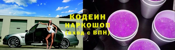 ПСИЛОЦИБИНОВЫЕ ГРИБЫ Арсеньев