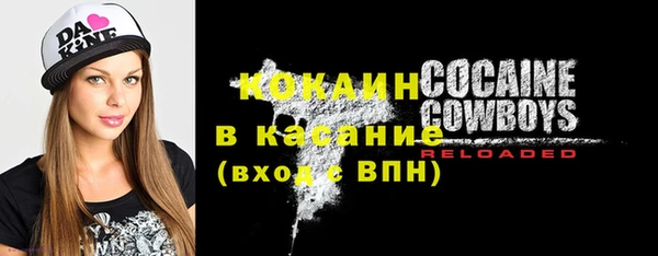 тгк Аркадак
