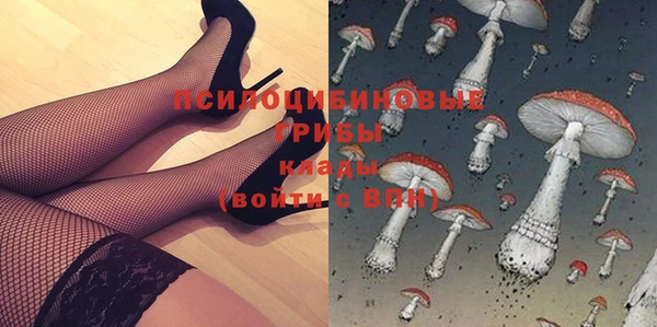 тгк Аркадак