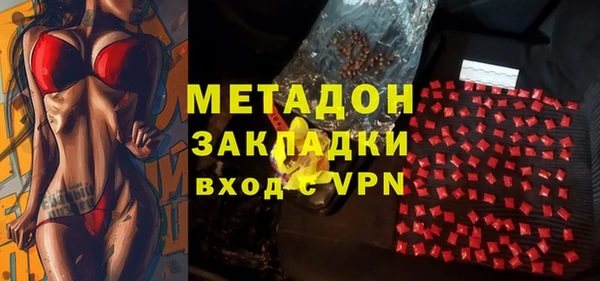 ПСИЛОЦИБИНОВЫЕ ГРИБЫ Арсеньев