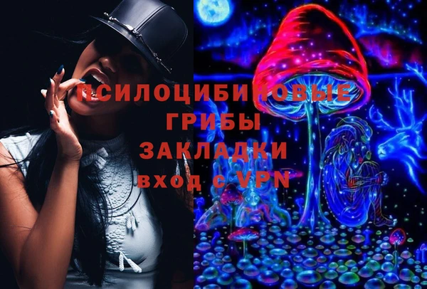 тгк Аркадак